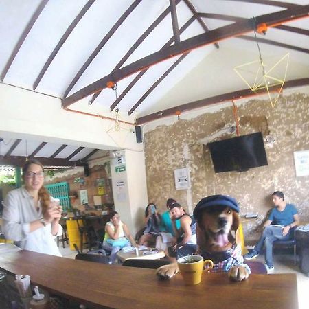 Panela Medellin Hostel Kültér fotó