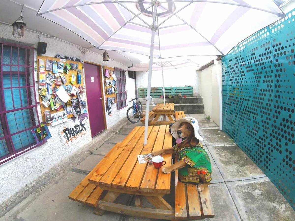 Panela Medellin Hostel Kültér fotó