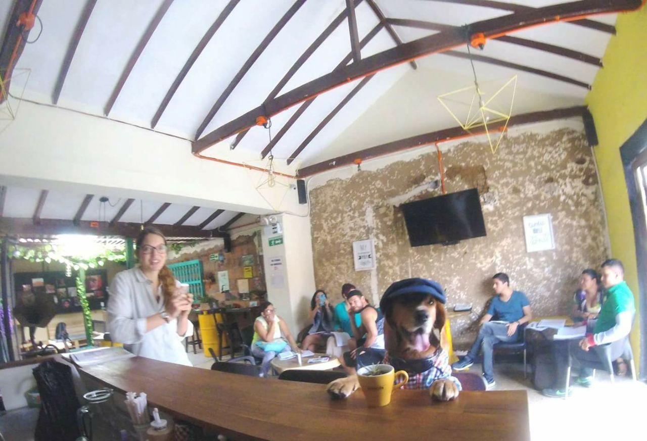 Panela Medellin Hostel Kültér fotó